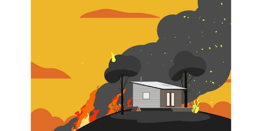 BUSHFIRE: What to do before, during, & after